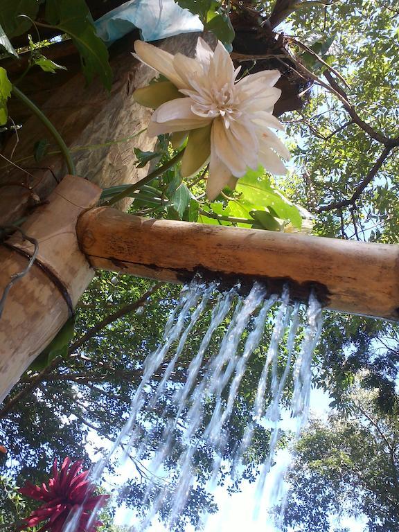 Panoramica Bed and Breakfast Ilhabela Buitenkant foto